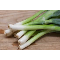 Spring Onions - 100g